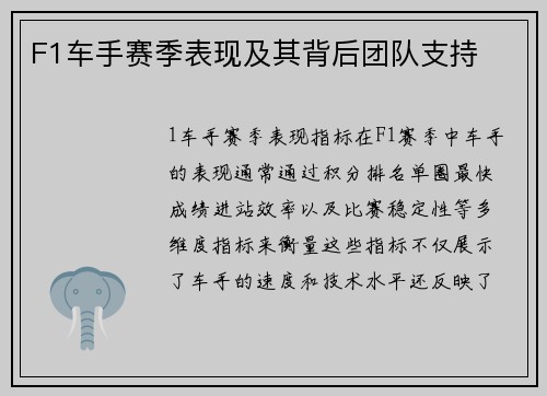 F1车手赛季表现及其背后团队支持