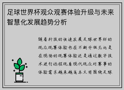 足球世界杯观众观赛体验升级与未来智慧化发展趋势分析